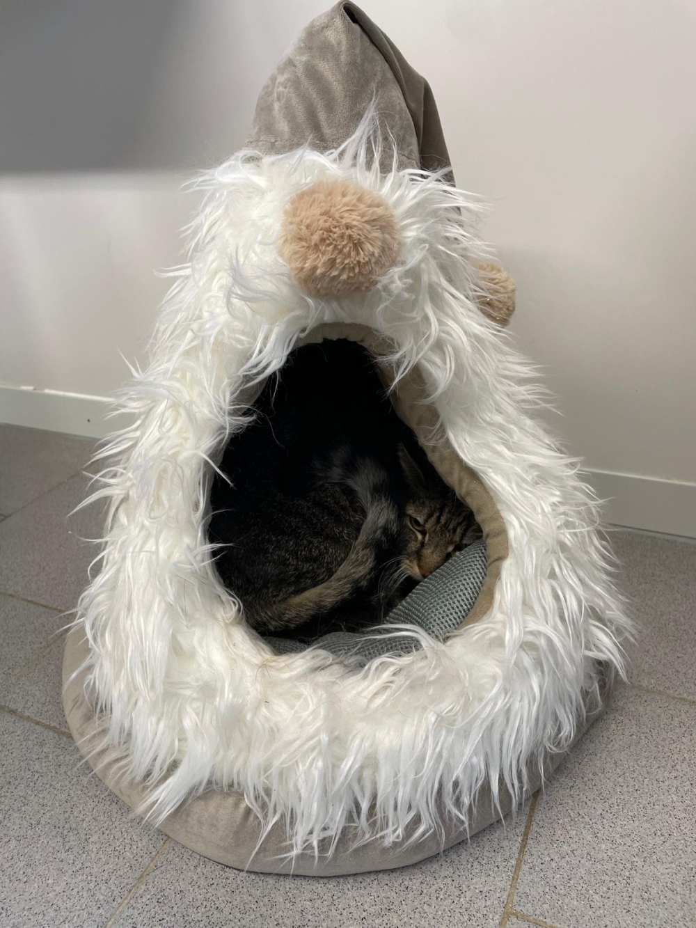 WhatsApp Bild 2025-11-29 um 10.41.43_c955d569.jpg