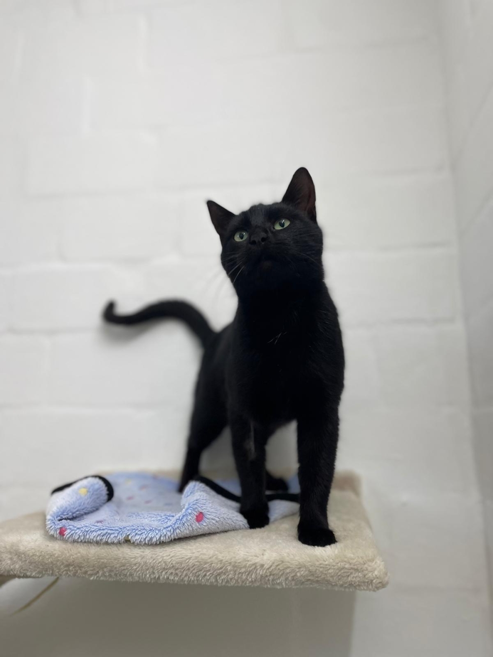 WhatsApp Bild 2025-11-24 um 11.42.47_021e5749.jpg