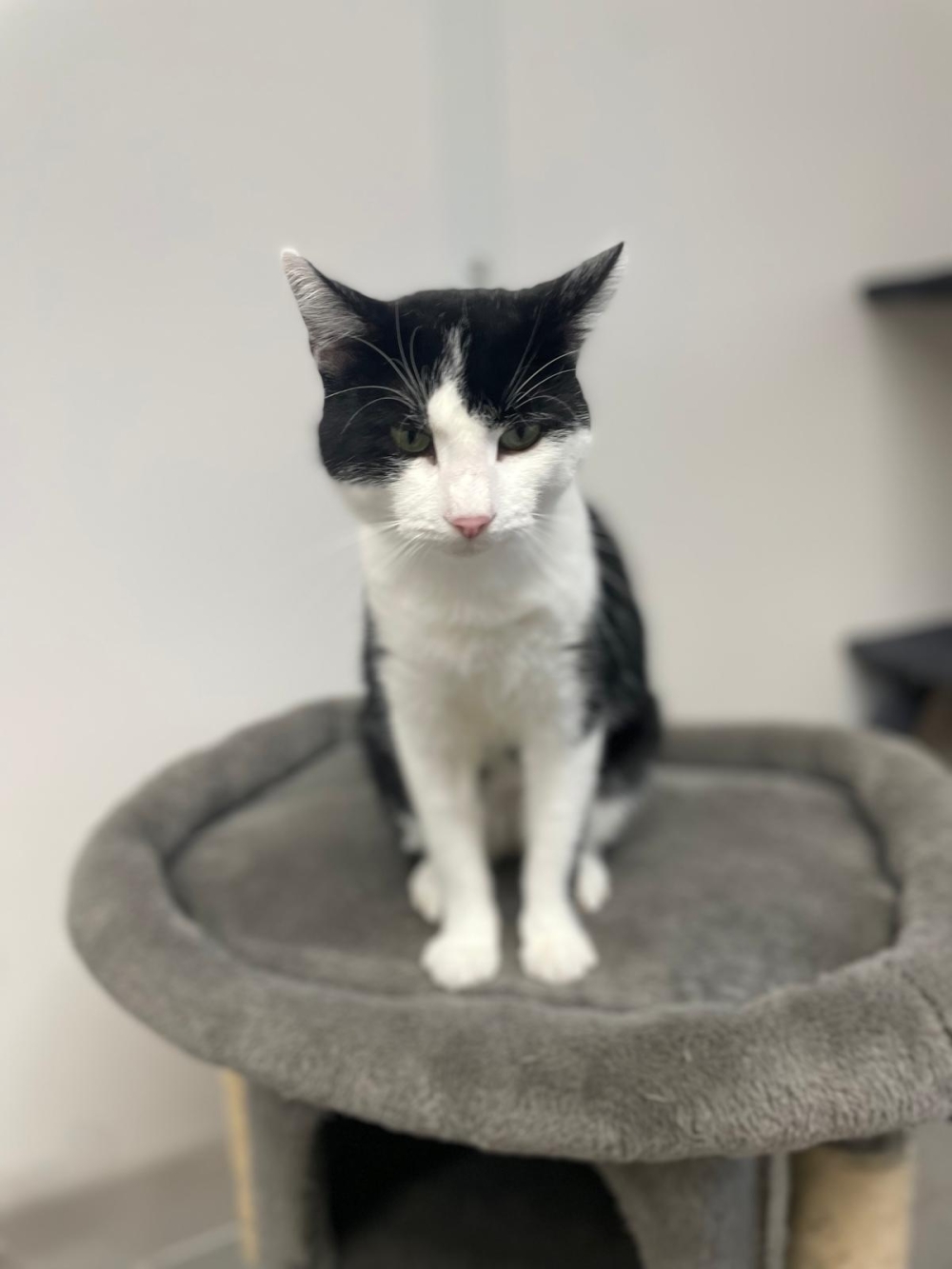 WhatsApp Bild 2025-11-25 um 12.50.23_774dea3f.jpg