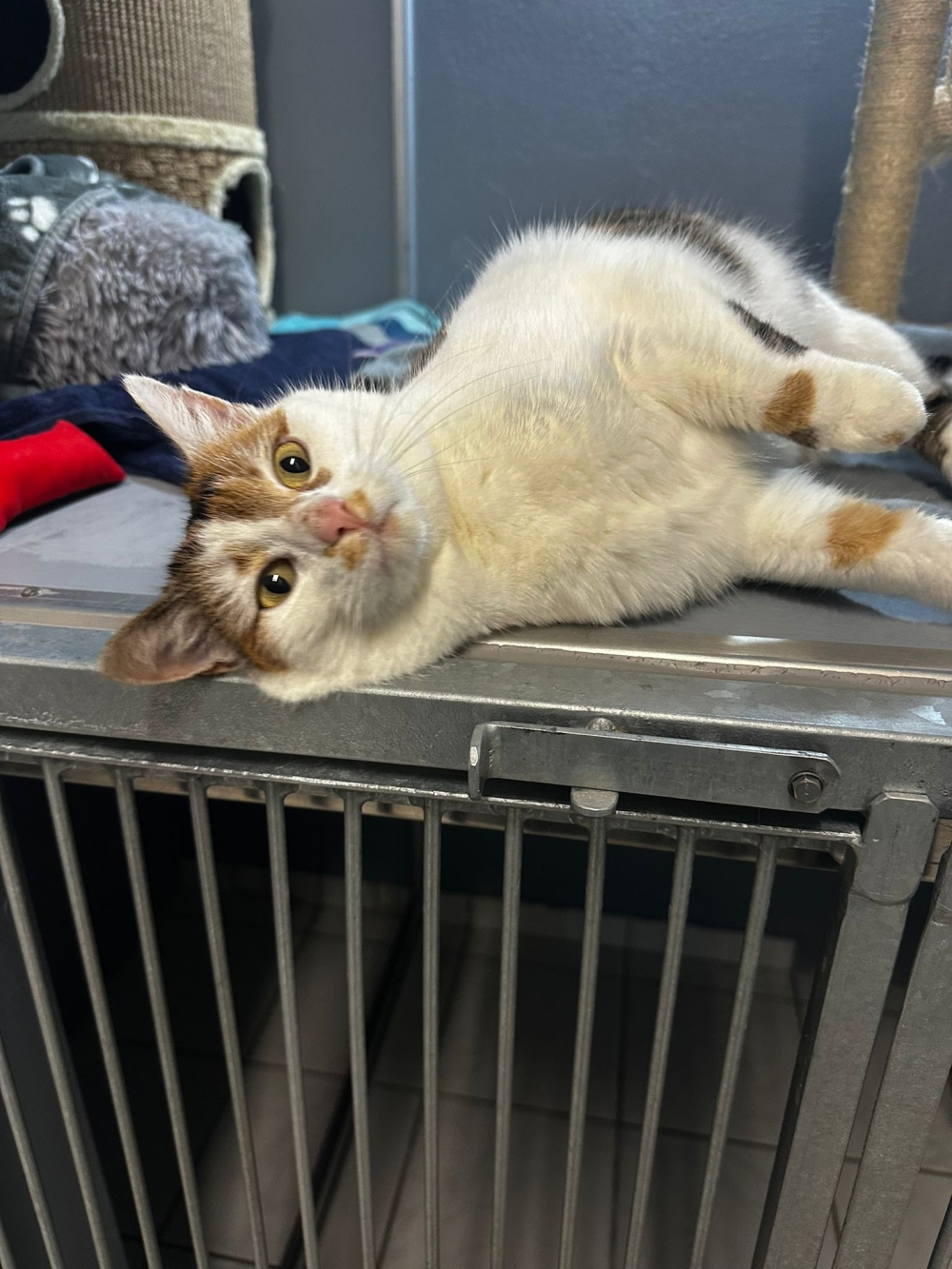 WhatsApp Image 2025-12-19 at 10.05.14 (1).jpeg