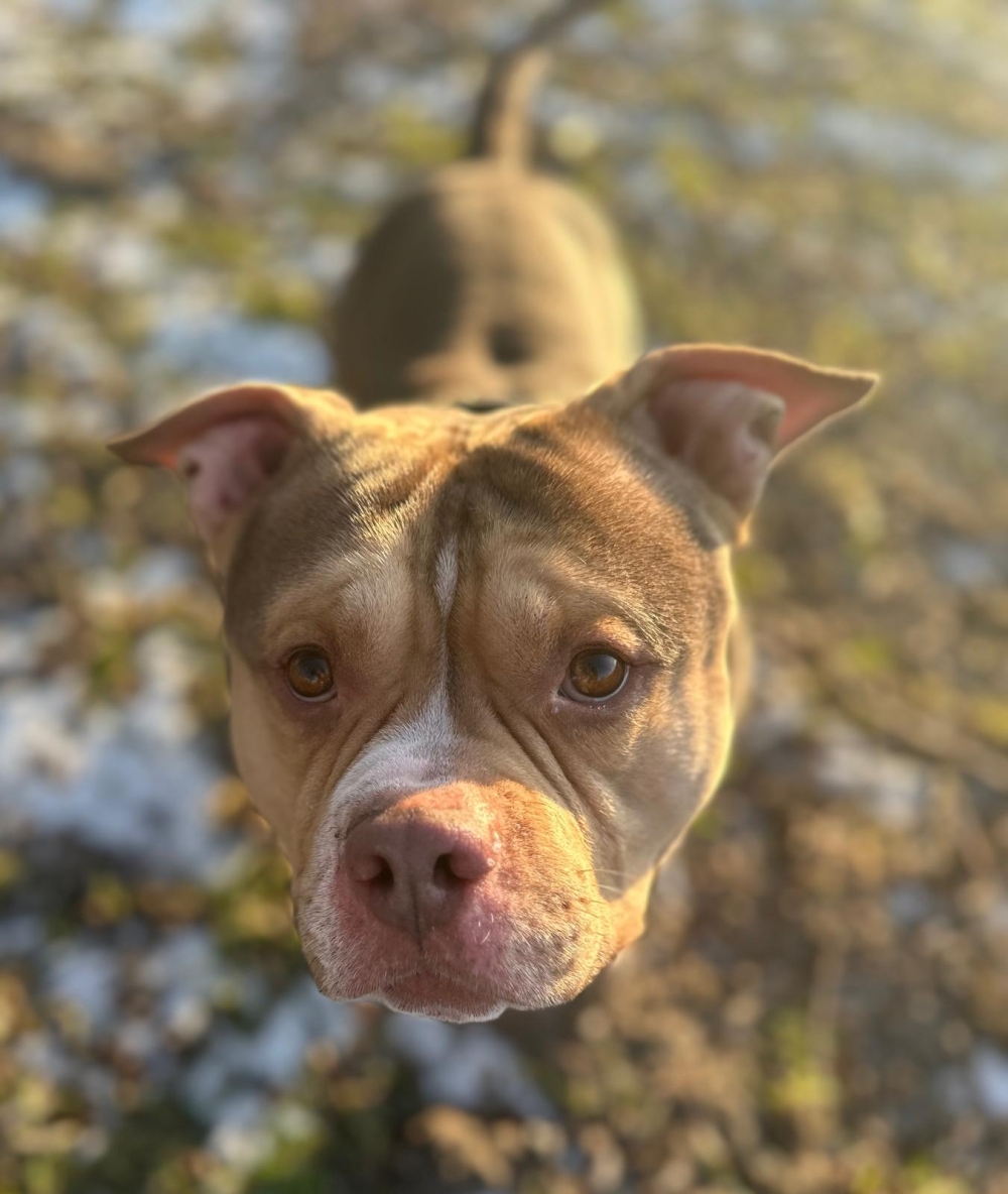 WhatsApp Image 2026-02-21 at 14.46.17 (2) - Kopie.jpeg