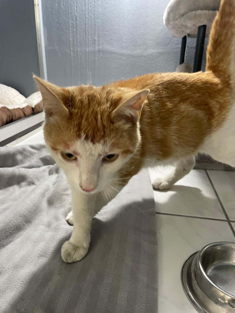 Fundkater 29.06.26